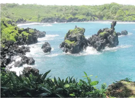  ??  ?? Maui’s Road to Hana offers breathtaki­ng views, but the narrow route can make for some white-knuckle driving.