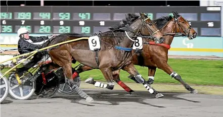  ?? ?? Funny Face, inside, has been crowned Dunstan Cambridge Raceway Horse of the Year.