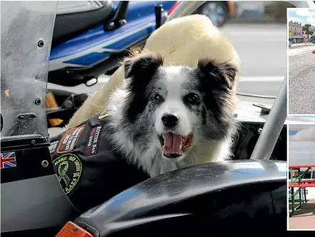  ?? CATHERINE GROENESTEI­N/STUFF ?? Gary Anderson (right) and his dog, Kairo, are setting off on a motorbike tour of the North Island to raise awareness and money for suicide charity I Am Hope. Kairo loves riding in the sidecar.