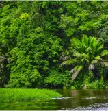  ??  ?? Above: Take a boat in Costa Rica’s Tortuguero National Park to spot lizards and sloths