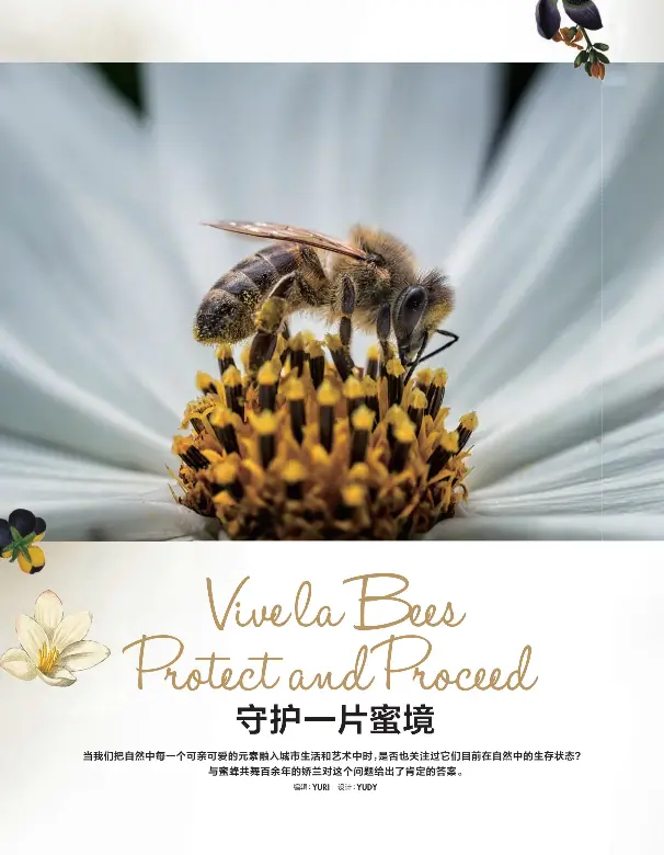 Vive La Bees Protect And Proceed Pressreader