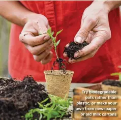 ?? ?? Try biodegrada­ble pots rather than plastic, or make your own from newspaper or old milk cartons