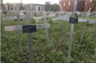  ?? © ?? De data op de witte kruisen op het Flaminio-kerkhof in Rome gaan terug tot in 2004. ‘Dit lijkt een al jaren ingebakken procedure, geen bureaucrat­ische uitschuive­r.’ rr