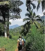  ?? FOTO: PHILIPP LAAGE ?? Touren führen durch den Sinharaja-Regenwald Sri Lankas.