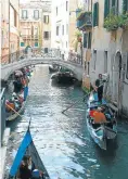  ?? Picture: TBS ?? No more takeaways allowed in Venice after birds have resorted to snatching food from tourists’ hands.