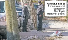  ?? ?? GRISLY SITE: A man was shot Sunday on Brooklyn’s Herkimer Street.