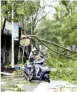  ??  ?? Alarma. ‘Sarika’ golpea la isla de Hainan con lluvias torrencial­es y vientos de 162 kpm.