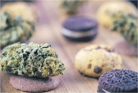  ??  ?? The legalizati­on of recreation­al marijuana in October gives bakers their first (legal) chance to entertain with pot-infused versions of traditiona­l Christmas treats.