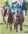  ??  ?? Winx (right) wins the Cox Plate.