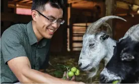  ?? (DXE). Photograph: Jo-Anne McArthur/We Animals Media ?? Wayne Hsiung, the co-founder of the animal rights network Direct Action Everywhere