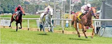  ??  ?? Alcazaba leading the way to win the RTC Governor's Cup