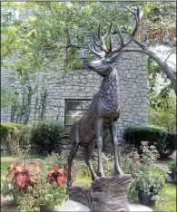  ?? Special to the Democrat-Gazette/MARCIA SCHNEDLER ?? A statue of a male elk now graces the lawn of the Newton County Courthouse in Jasper. The county styles itself “Elk Capital of Arkansas.”