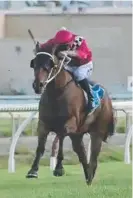  ??  ?? Pure Pulse runs well at Aquis Park and is a big chance in Race 7.