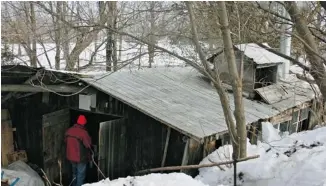  ?? PETER JOHANSEN ?? Nobody’s sure how old the sugar shack is at Stanley’s Olde Maple Lane Farm in Edwards, but one thing is certain: a stop inside provides a close-up look at the old-fashioned process of boiling maple sap into sweet maple syrup. The farm offers plenty of...