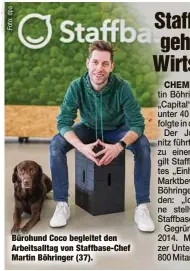  ?? ?? Bürohund Coco begleitet den Arbeitsall­tag von Staffbase-Chef Martin Böhringer (37).