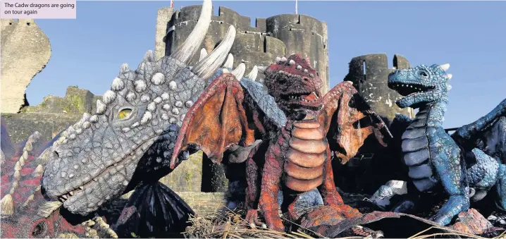  ??  ?? The Cadw dragons are going on tour again