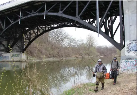  ?? DANIEL OTIS PHOTOS/TORONTO STAR ?? Toronto Urban Fishing Ambassador­s Matthew Saieva, left, and David Clark walk under the Bloor St. bridge while looking for a perfect spot to fish along the Humber River.