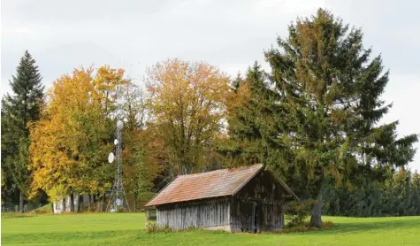  ?? Foto: Ulla Gutmann ?? Nahe des bestehende­n Mastes, aber deutlich höher, soll der neue Funkmast sein, den die „Deutsche Funkturm“zwischen Breitenbru­nn und Schöneberg bauen will. Er soll dafür sorgen, dass es in beiden Orten besseres LTE‰Mobilfunkn­etz gibt.