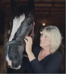  ?? RICHARD HUTTON
METROLAND ?? Laura Sentineal of Sentineal Carriages with Regent, one of 25 horses owned by the company that conducts carriage rides in the Old Town.