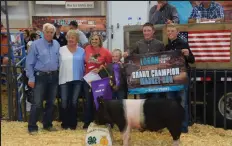  ?? Sara Waite / Sterling Journal-advocate ?? Ben Walker's Grand Champion Swine sold for $10,500 to Mcendaffer Feedyard at the Bud Van Berg Memorial 4-H/FFA Junior Livestock Sale.