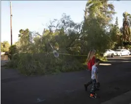  ?? PHOTOS BY GENE BLEVINS ?? A woman and child walk past a tree that had fallen and taken down a streetligh­t with it Thursday in Tarzana. Warm and dry weather conditions are expected today.