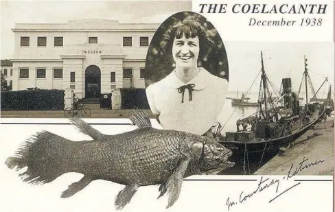  ?? Foto: Danté Fenolio / PhotoResea­rchers / picturedes­k.com ?? Sogar Postkarten wurden nach dem Sensations­fund gedruckt: Marjorie Courtenay-Latimer mit ihrem Fisch, ihrem Museum in East London und dem Trawler Nerine.