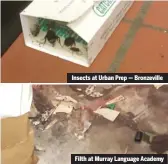  ??  ?? Insects at Urban Prep — Bronzevill­e Filth at Murray Language Academy