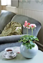  ??  ?? RECHTS Das traditione­lle Tässchen Tee genießt Vickie am liebsten auf dem Sofa im Wohnzimmer.