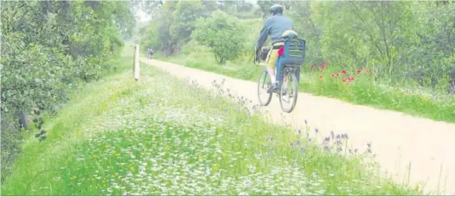  ?? ARCHIVO ?? La Vía Verde de la Sierra Norte de Sevilla suele ser transitada asiduament­e por familias con sus hijos que disfrutan de la naturaleza y el turismo activo.