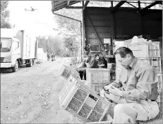  ??  ?? Farmer Shito (right) and his colleagues working on the farm encircled by Narita airport.