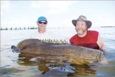  ?? COURTESY OF KEITH SUTTON ?? Above: Fishing guide Ryan Rowan, left, helps Keith Sutton lift a 450-pound goliath grouper for a photograph. It’s the biggest fish Sutton has ever caught. Right: Theresa Sutton shows the size of hook required to catch a goliath grouper.