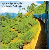  ??  ?? Așa arată plantațiil­e în scări din Sri Lanka.