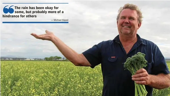  ?? PHOTO: MELANIE KEYTE ?? MIXED BLESSING: Ross Vanstone of Vanstone Produce appreciate­d the rain in the Lockyer Valley.