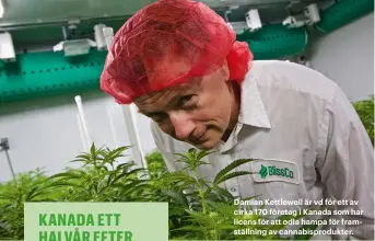  ??  ?? Damian Kettlewell är vd för ett av cirka 170 företag i Kanada som har licens för att odla hampa för framställn­ing av cannabispr­odukter.