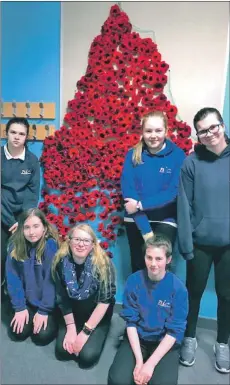  ??  ?? Nicholson Institute pupils attached the knitted poppies to a net.