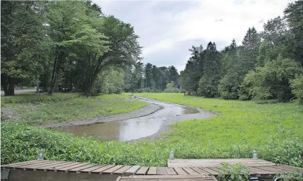  ?? VINCENZO D’ALTO/MONTREAL GAZETTE FILES ?? Pine Lake, as seen from Hudson resident Cynthia Maher’s property last July after the dam cracked, leaving behind a swampy bog. “They’ve had enough time to decide it they are going to put it back or not. Yes, it takes time, but that long?” Maher says.