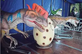  ??  ?? la exhibición combina un show circense y la interacció­n y aprendizaj­e sobre la vida des estos reptiles