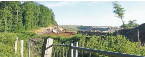  ?? RP-FOTO: RALF GERAEDTS ?? An einer Stelle im Osterholz erreicht der Kalkabbaub­ereich schon jetzt den Wanderweg vom Hahnenfurt­her Weg aus. Der rund fünf Hektar große Wald zwischen dem Weg und der Grube soll für den Bau einer Abraumhald­e gerodet werden.