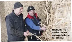  ??  ?? Brian and his brother Derek examine bales of miscanthus