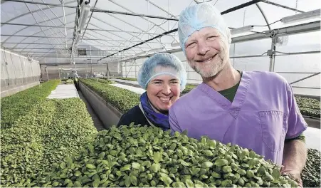  ??  ?? Carmen and Glenn Wakeling at their organic Eatmore Sprouts and Greens Ltd. operation in the Comox Valley.
