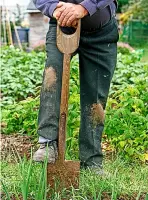  ?? Picture: Chris Ison/pa ?? The RHS’ climate campaign aims to mobilise the biggest gardening army since “Dig for Victory” in the Second World War