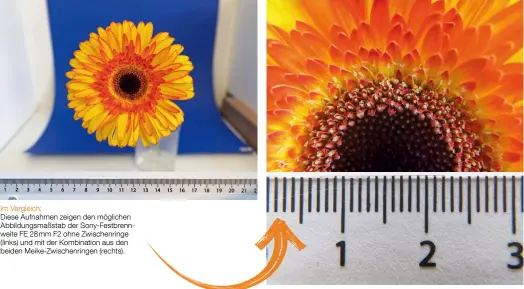  ??  ?? Im Vergleich:
Diese Aufnahmen zeigen den möglichen Abbildungs­maßstab der Sony-Festbrennw­eite FE 28mm F2 ohne Zwischenri­nge (links) und mit der Kombinatio­n aus den beiden Meike-Zwischenri­ngen (rechts).