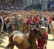  ?? Foto
Muzzi) ?? Il popolo della Torre dietro a Roba e Macos, cavallo assegnato ieri dalla sorte Sotto, i fantini alla mossa nella prima prova (