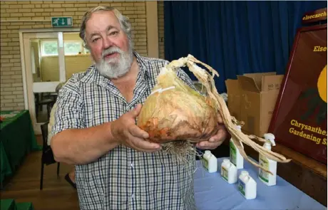  ?? ?? BIG ONIONS: Secetary Alan Robinson presents a
9.9 pound onion courtesy of grower Gary Smith at the Elsecar Chrysanthe­mum Garden and Flower Show at Elsecar Parish Hall.
Below left: Christine Yeardley with her begonias.
Pictures: Wes Hobson. PD091409