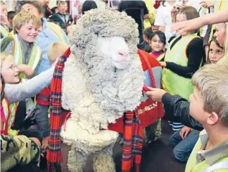  ?? Photo: Robyn Edie/fairfax NZ ?? World famous: Shrek, who was put to sleep in 2011, lived twice as long as the average sheep.