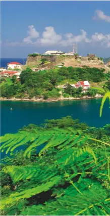  ??  ?? St George’s, the capital of Grenada, is a popular destinatio­n for liveaboard families