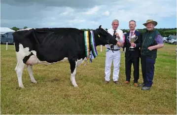  ?? PHOTO: DENIS BOYLE ?? Rickey Barrett from Ballinhass­ig pictured at Belgooly Agricultur­al Show, Co Cork with his overall champion dairy cow, judge Sean MacSweeney and cattle steward Martin O’Regan.