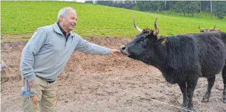  ?? FOTO: GRUNERT ?? Martin Hertlein ist Schreinerm­eister und Auerochsen­züchter.