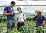  ?? LIU ZHIQIANG / FOR CHINA DAILY ?? Adam Hegarty, during an interview at a vegetable greenhouse in Xingguo county, Jiangxi province.