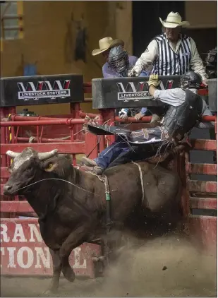  ?? PHOTOS BY KARL MONDON — STAFF PHOTOGRAPH­ER ?? Bull rider Clayton Savage falls awkwardly, injuring himself, as the gate opens during the Grand National Rodeo at the Cow Palace in Daly City this month. Injuries are a fact of life for rodeo competitor­s.